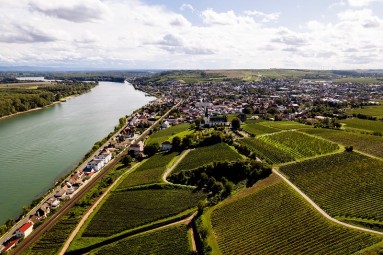 Weinberge, am Horizont sind Wohngebiete zu sehen, links ein Fluss.